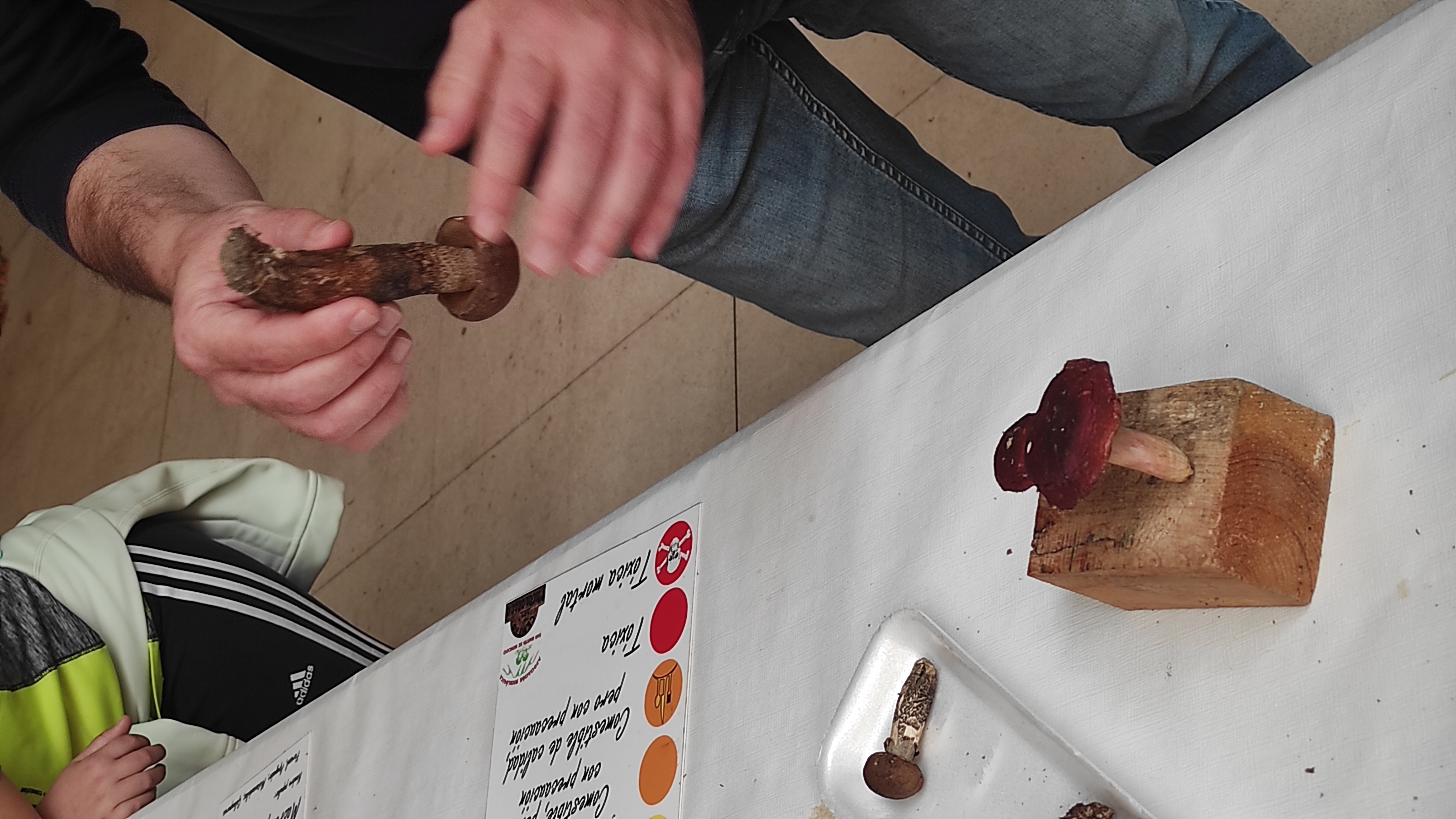 Copia de IMG_20251030_123158.jpg